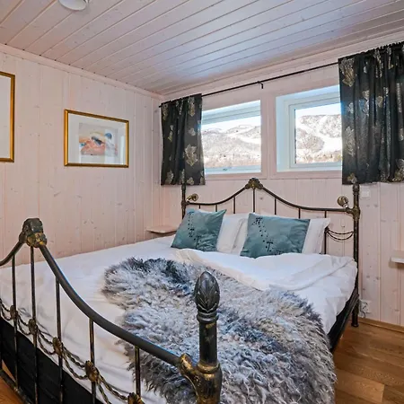 Skurdalsvegen Hol (Buskerud)